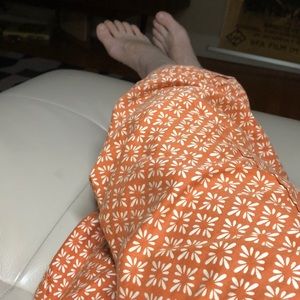 Meet your Posher, Dorothy